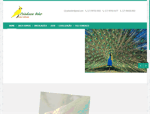 Tablet Screenshot of criadourosoler.com.br